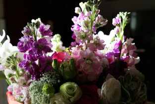 紙間花香 創(chuàng)意紙質(zhì)鮮花，獻(xiàn)給親人生日的獨(dú)特禮物