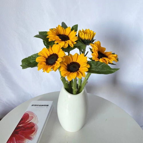向日葵送真情 母親節(jié)鮮花速遞，專屬禮遇獻(xiàn)長(zhǎng)輩與領(lǐng)導(dǎo)